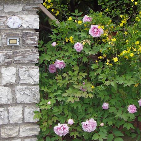 B&B Il Glicine Bedizzole Bagian luar foto