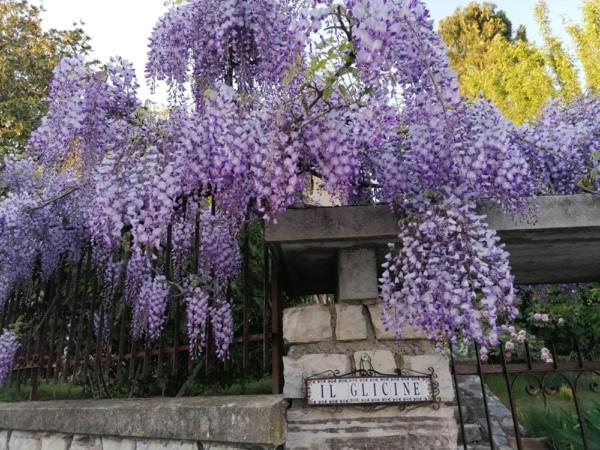 B&B Il Glicine Bedizzole Bagian luar foto