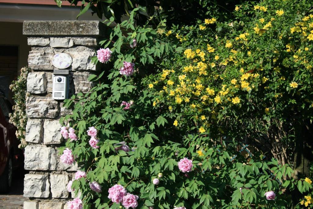 B&B Il Glicine Bedizzole Bagian luar foto