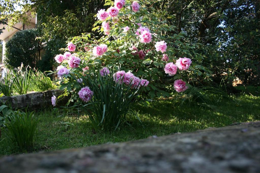 B&B Il Glicine Bedizzole Bagian luar foto