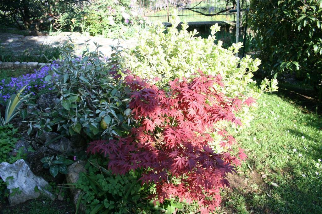 B&B Il Glicine Bedizzole Bagian luar foto